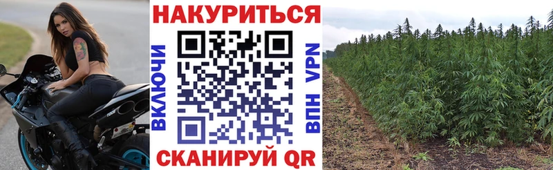 Каннабис гибрид  Новосиль 